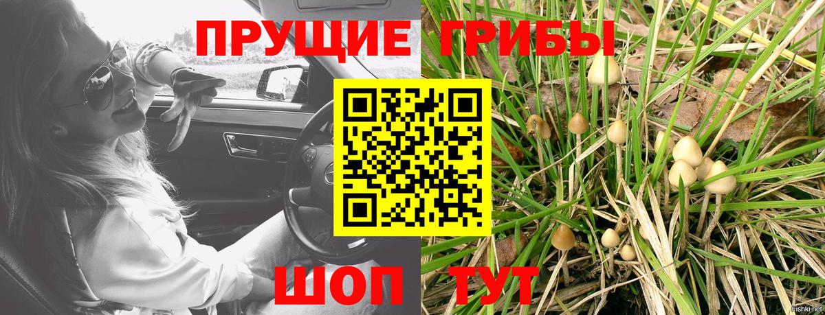 Галлюциногенные грибы прущие грибы Шадринск